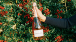 A bottle of Wild Idol's non alcoholic Sparkling Rosé held in front of a Hawthorn bush