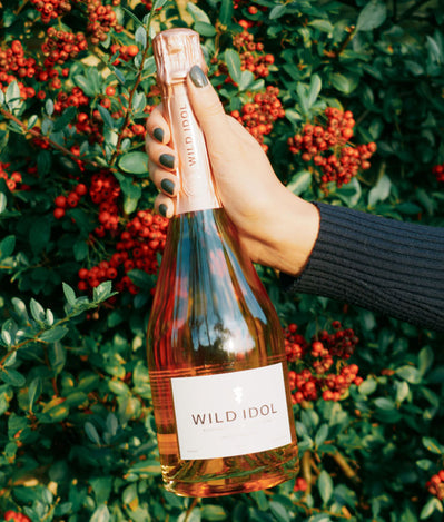 Lose the hangover haze and reclaim your day this sober October